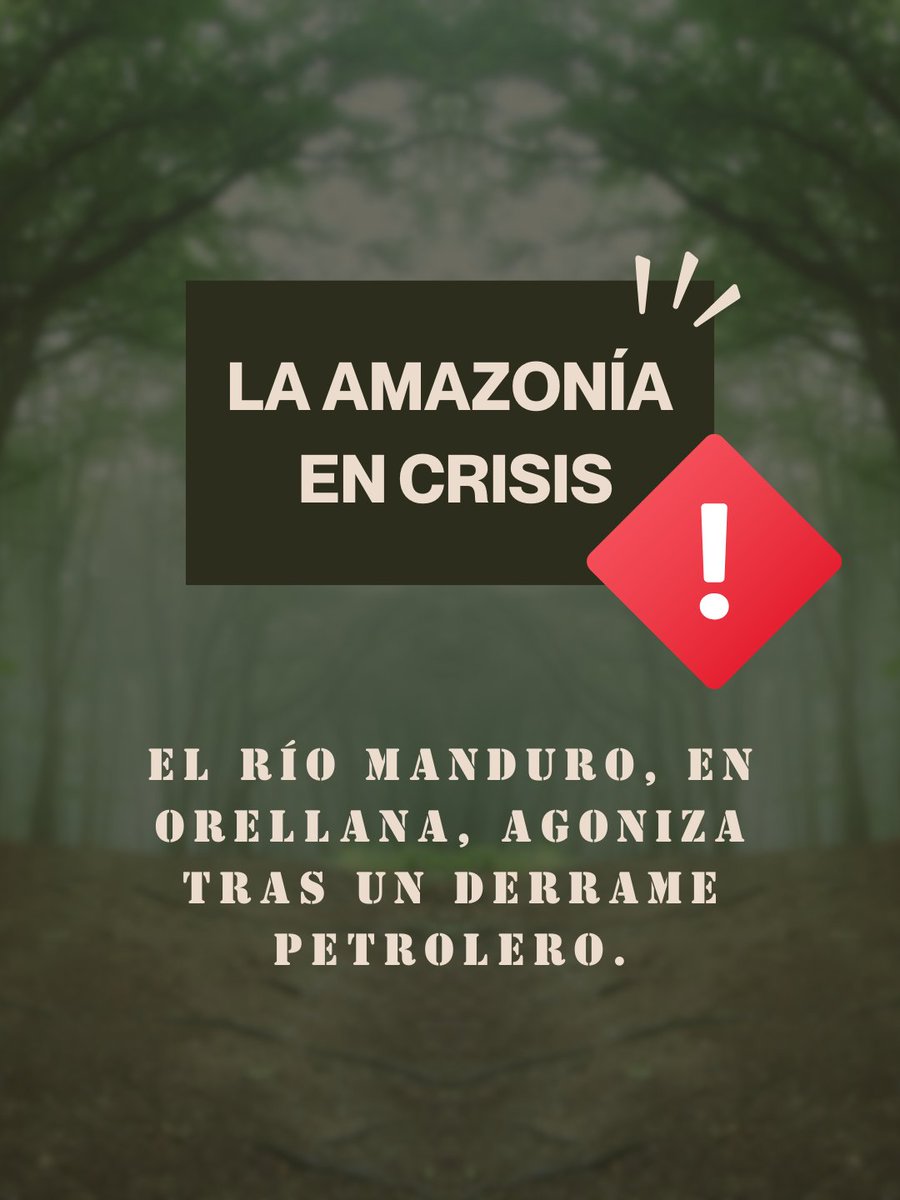 🚨 La Amazonía se desangra.
El río Manduro, en Orellana, está agonizando tras un derrame petrolero de Petroecuador.
Han pasado 136 días sin respuesta.
 Aquí lo que debes saber 👇