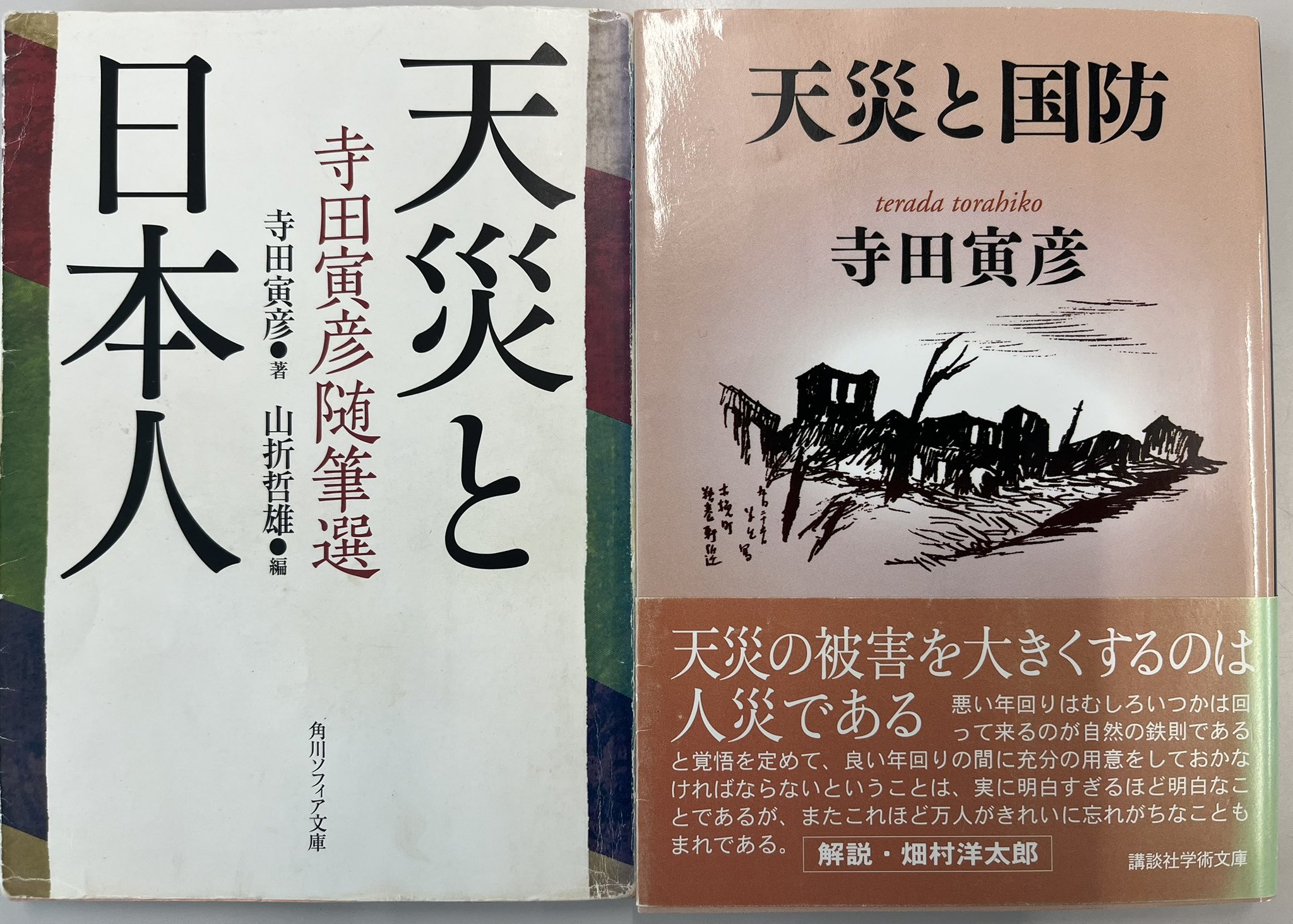 寺田寅彦全随筆 全6巻セット Amazon.co.jp: 寺田寅彦全随筆 全6巻 岩波書店 : おもちゃ