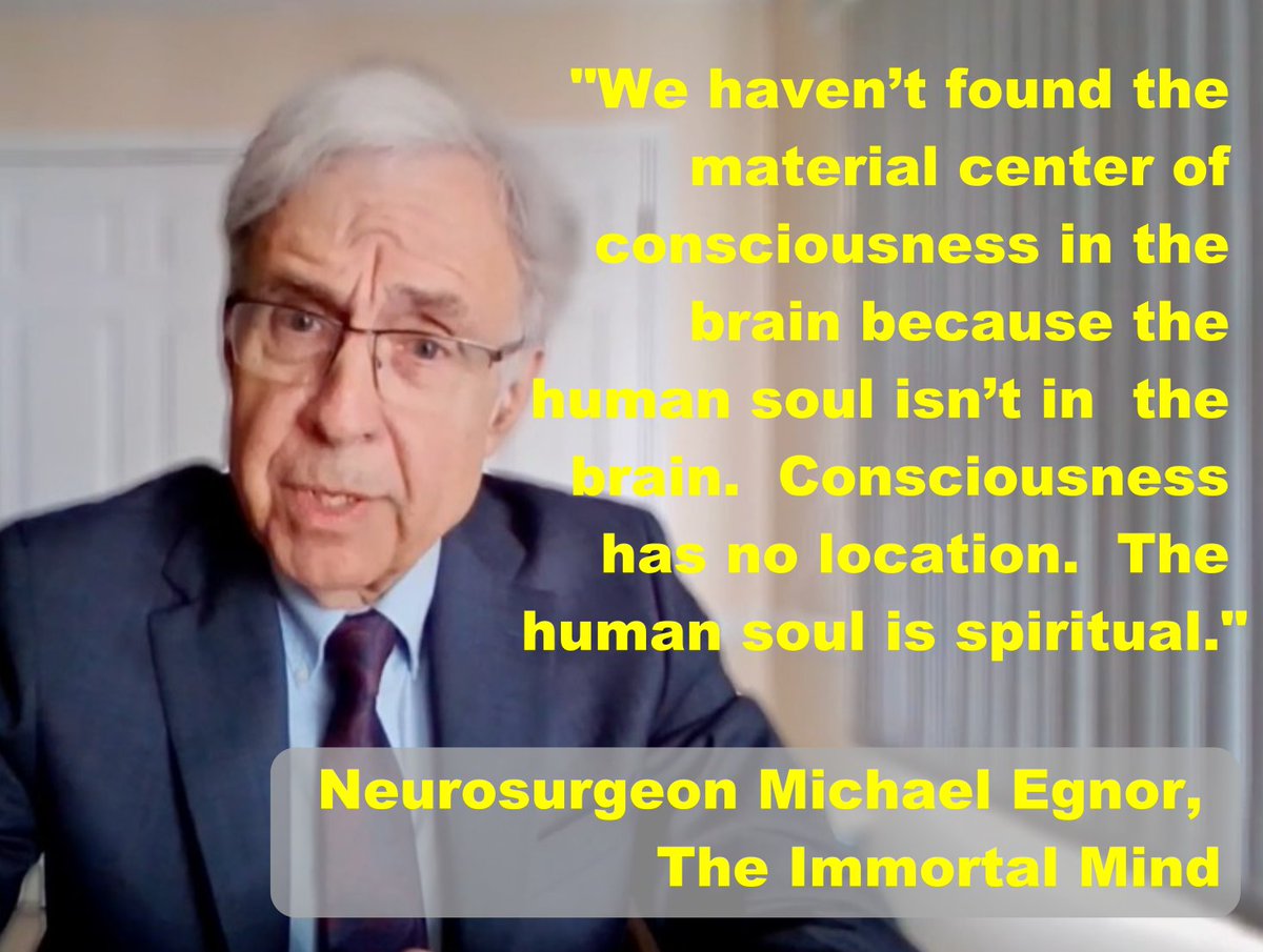 BLESSED_in_Sim's tweet image. What does Dr. Egnor know that materialists are missing?