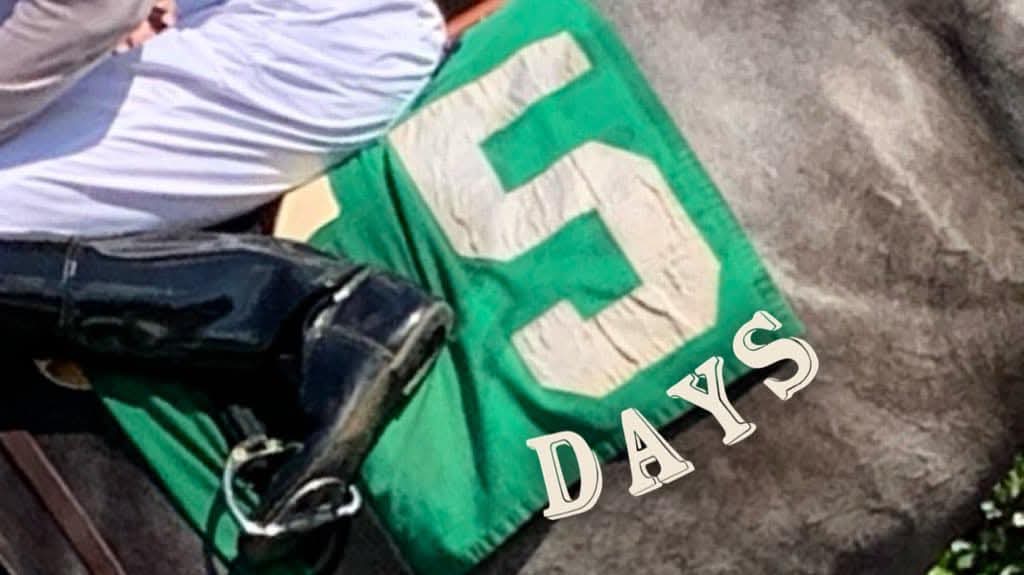 Lone Star Park (@lonestarpark) on Twitter photo Just FIVE more days until kickoff of the 2025 Fall Meeting of Champions! Just FIVE more days until kickoff of the 2025 Fall Meeting of Champions!