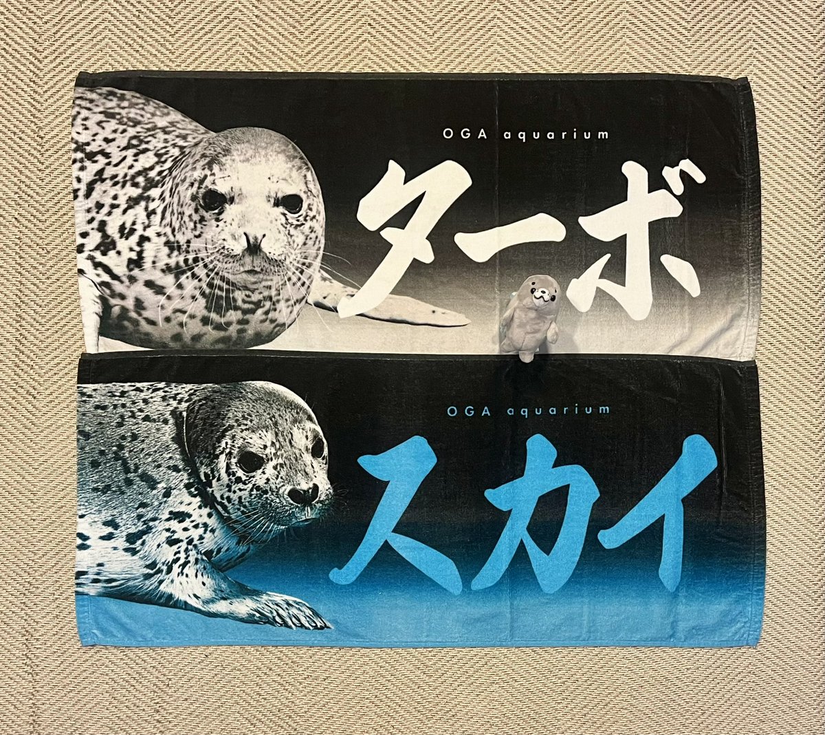 ターボ＆スカイのタオル #アザラシ #男鹿水族館 2025/8