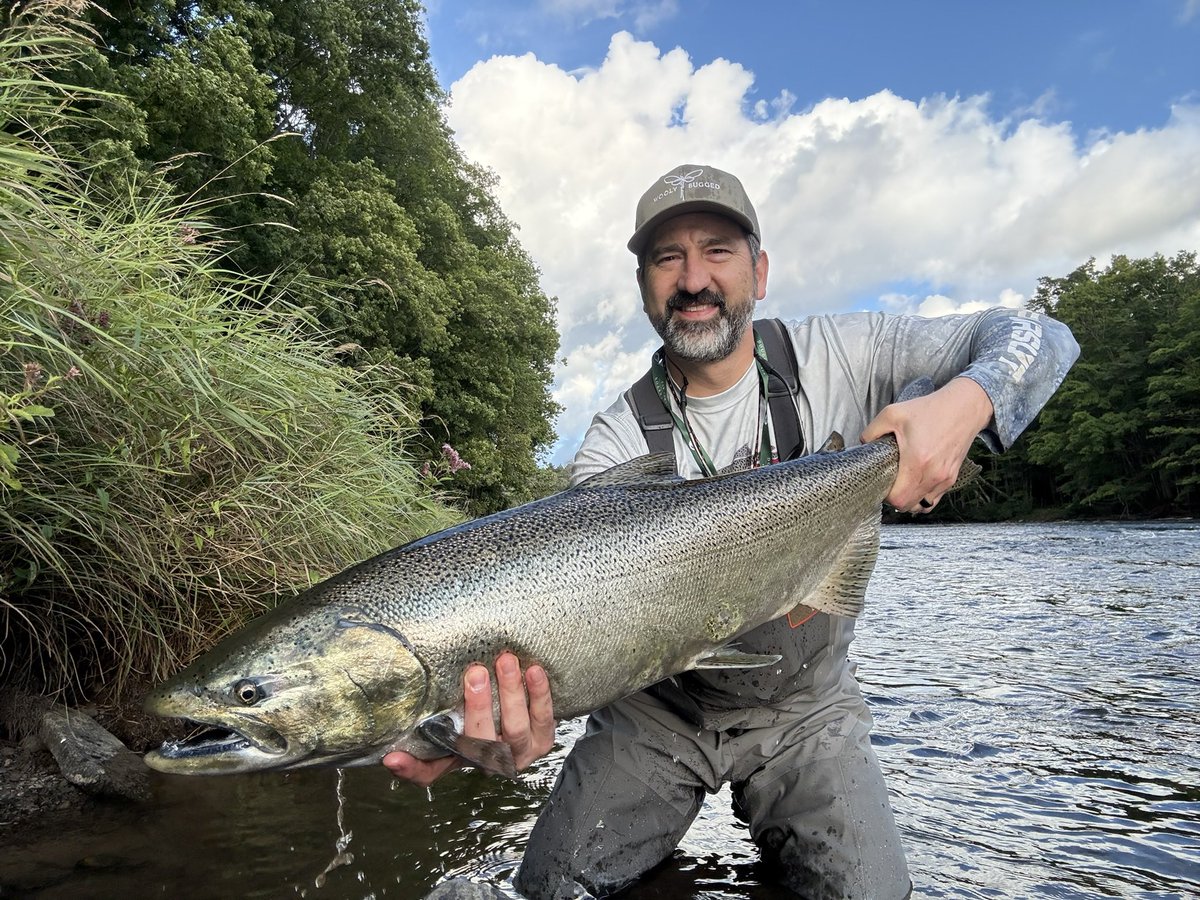 woolybugged's tweet photo. Rain bumped flows in Pulaski just enough for a great late-August salmon run Friday. By today, movement slowed and fish stacked in the estuary. Pulaski, like back home in PA, needs rain and so do the salmon.

#salmonrun2025 #salmonriver #pulaski #dsrny #woolybugged https://t.co/AY9mAIpv00