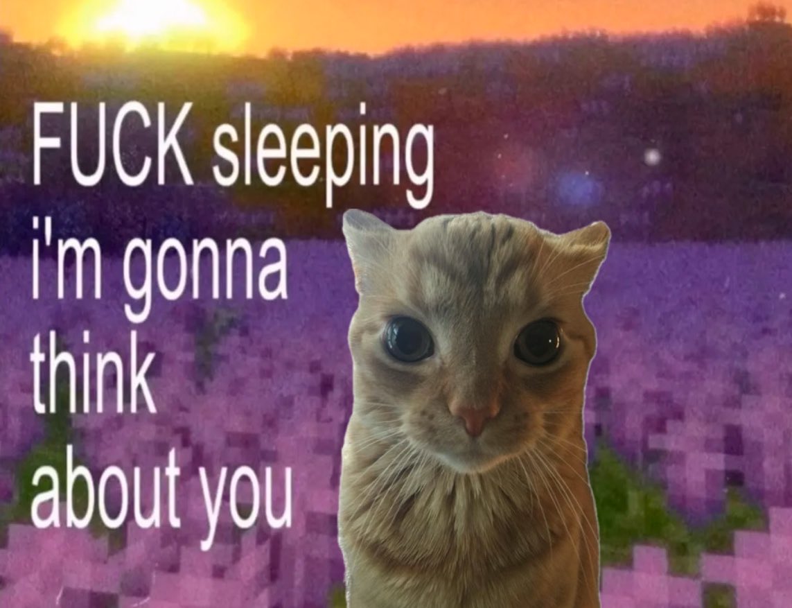 GaK (@gakstercat) on Twitter photo 