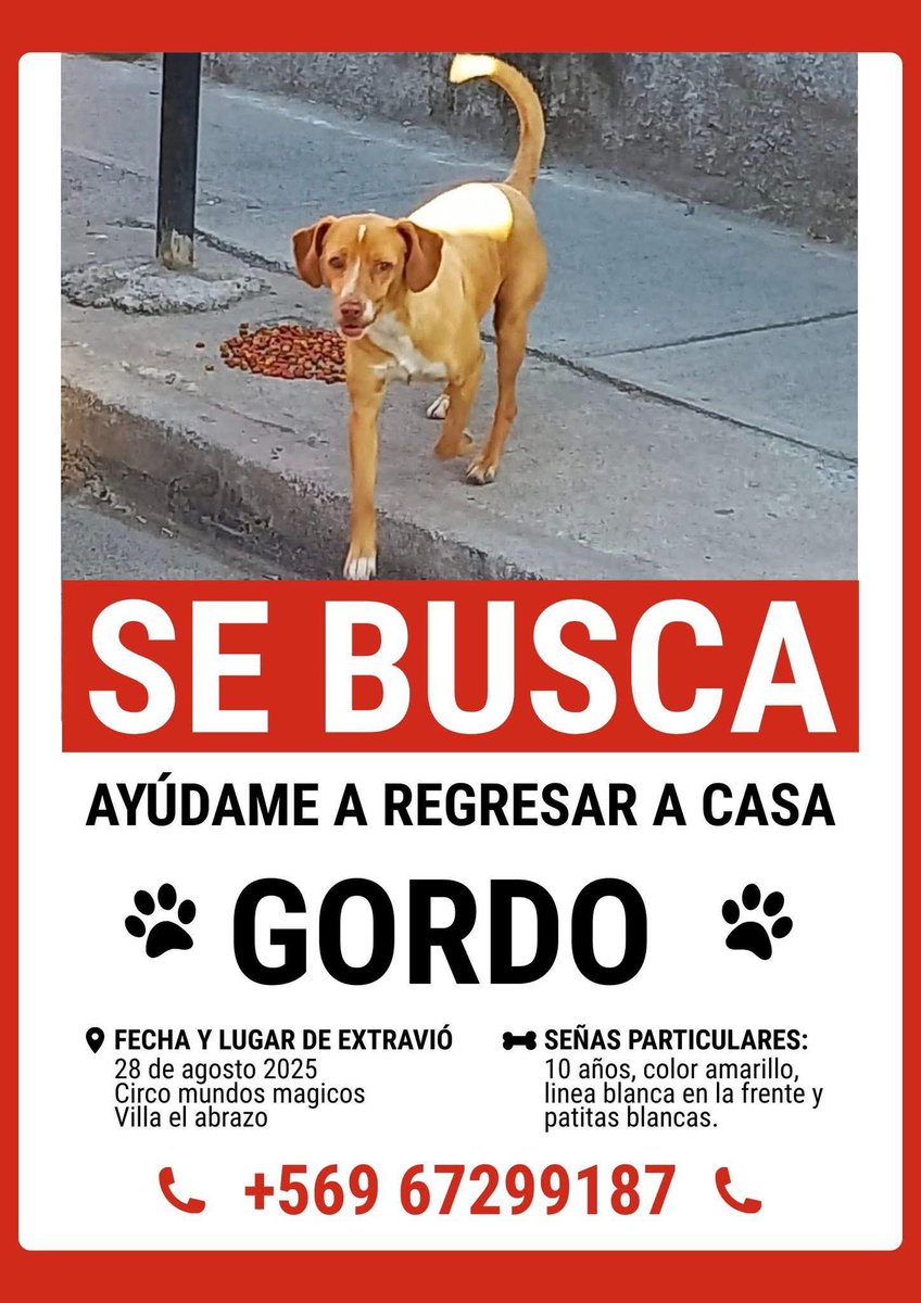 LORE TIN (@todopormiperro) on Twitter photo 