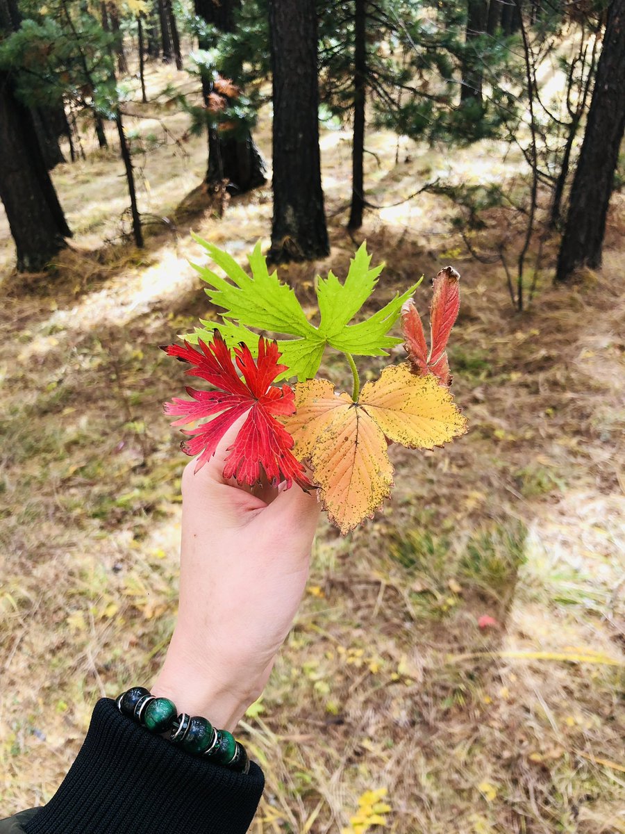 Хичээлийн шинэ жилийн мэнд хүргэе 🍃🍂🌻