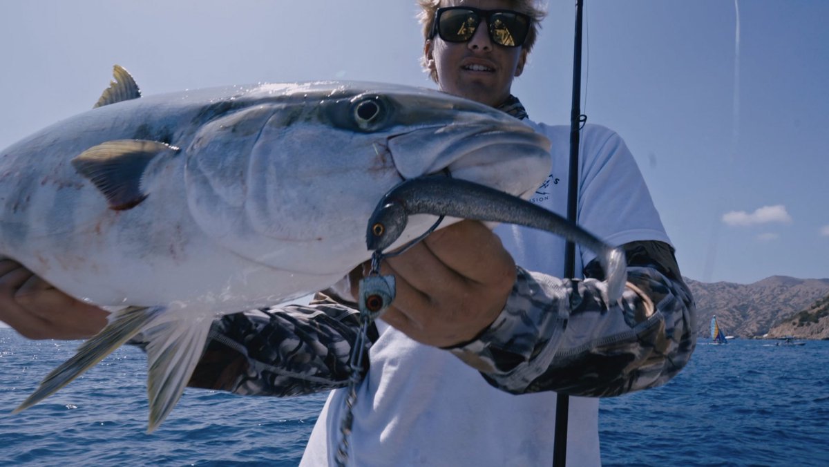 WARBAITS's tweet photo. SUMMER YELLOWTAIL fishing is EPIC!! https://t.co/6QplrgLOgx via @YouTube https://t.co/D2SezoZtcK