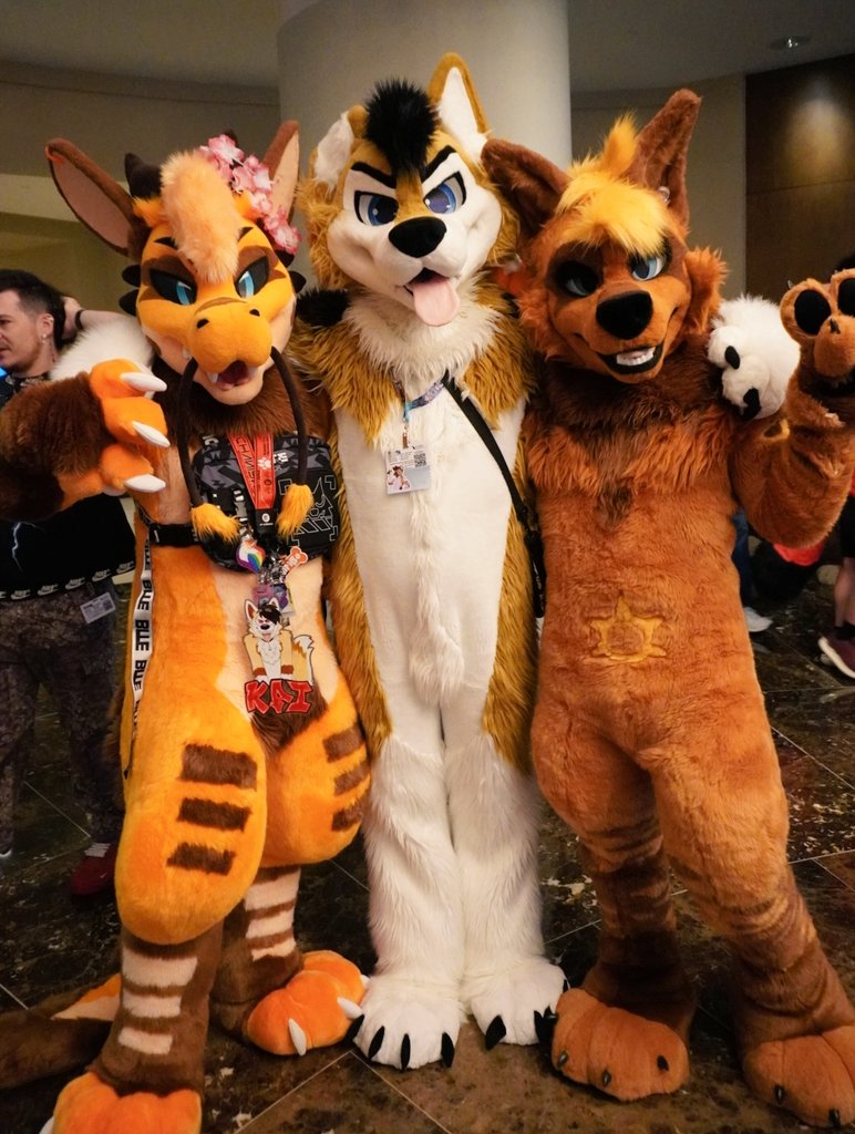 jose_husky's tweet photo. OMG! I saw Rrono and Dronno at MP, they're both so lovely 🧡🧡🧡 x333 https://t.co/SgyOOGqsCt