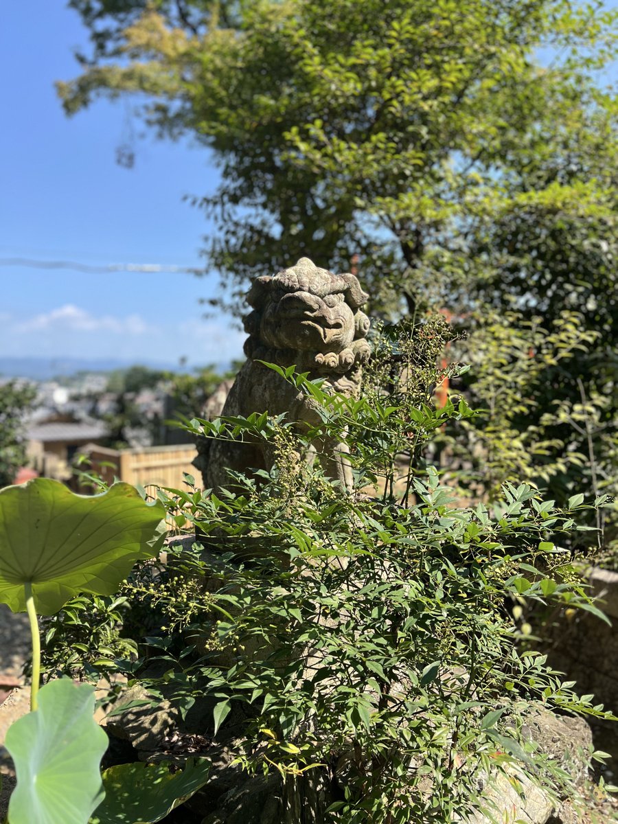 (。゜▽゜)おはこまいぬー