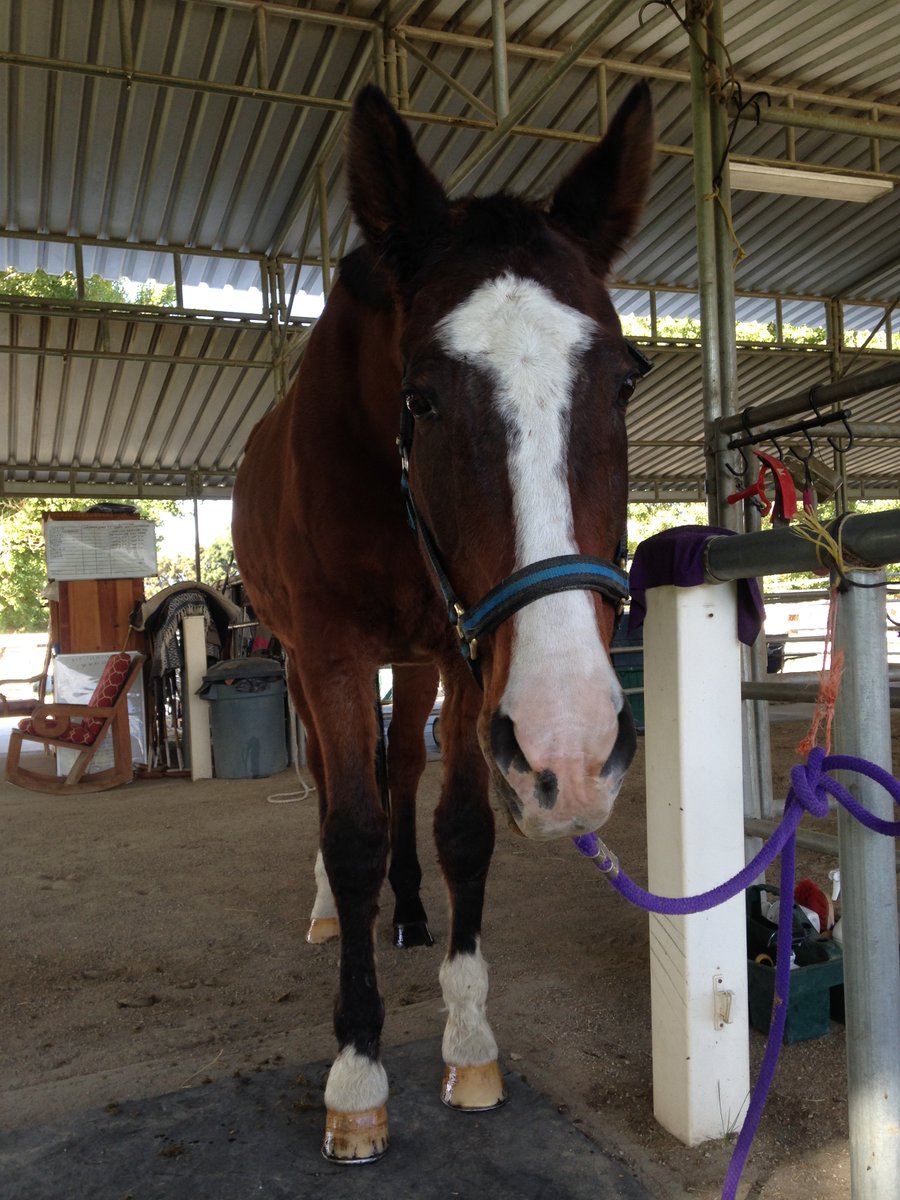 Smoothie! Our Sweet Baboo!