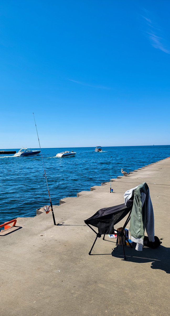 MphasaMPH's tweet image. Successful camping trip. Caught my largest fish ever on Lake Michigan, Holland Pier. Freshwater Drum. Weight: 3.2 Kg , Length: 0.6 Meters.  Caught on treble hook with a Goby fish as bait. #JournalEntry