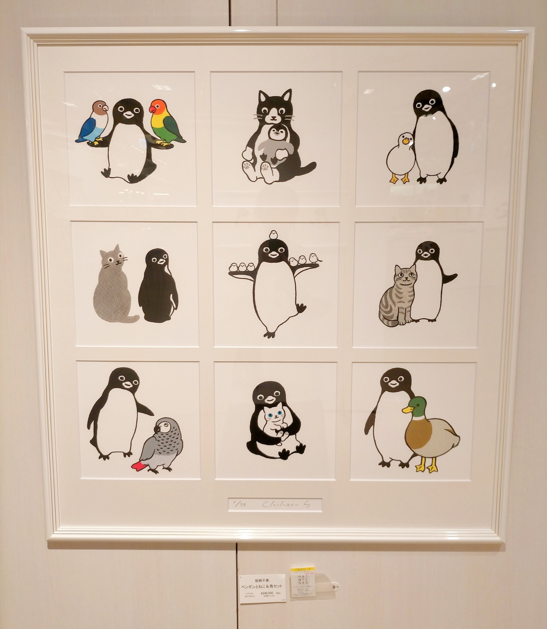 ☆ペンギン☆ (@penguin00000001) / X