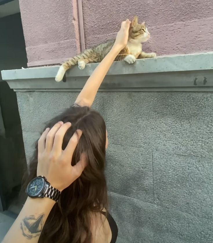 cada um acaricia a gata que tem!