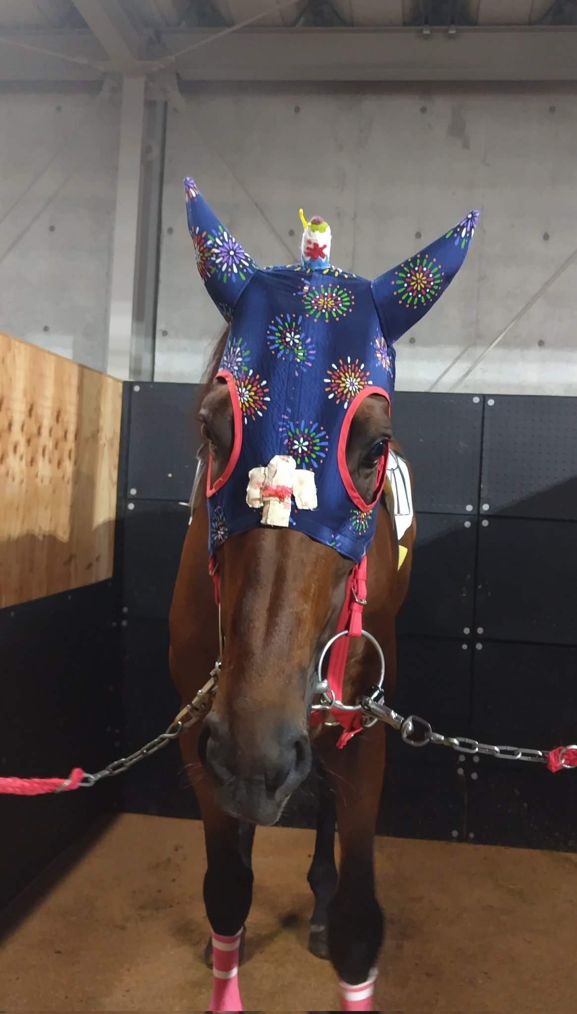 【土日限定価格】福島競馬場　オリジナル起きあがりこぼし 日本の名馬・名勝負 第4号 | デアゴスティーニ公式