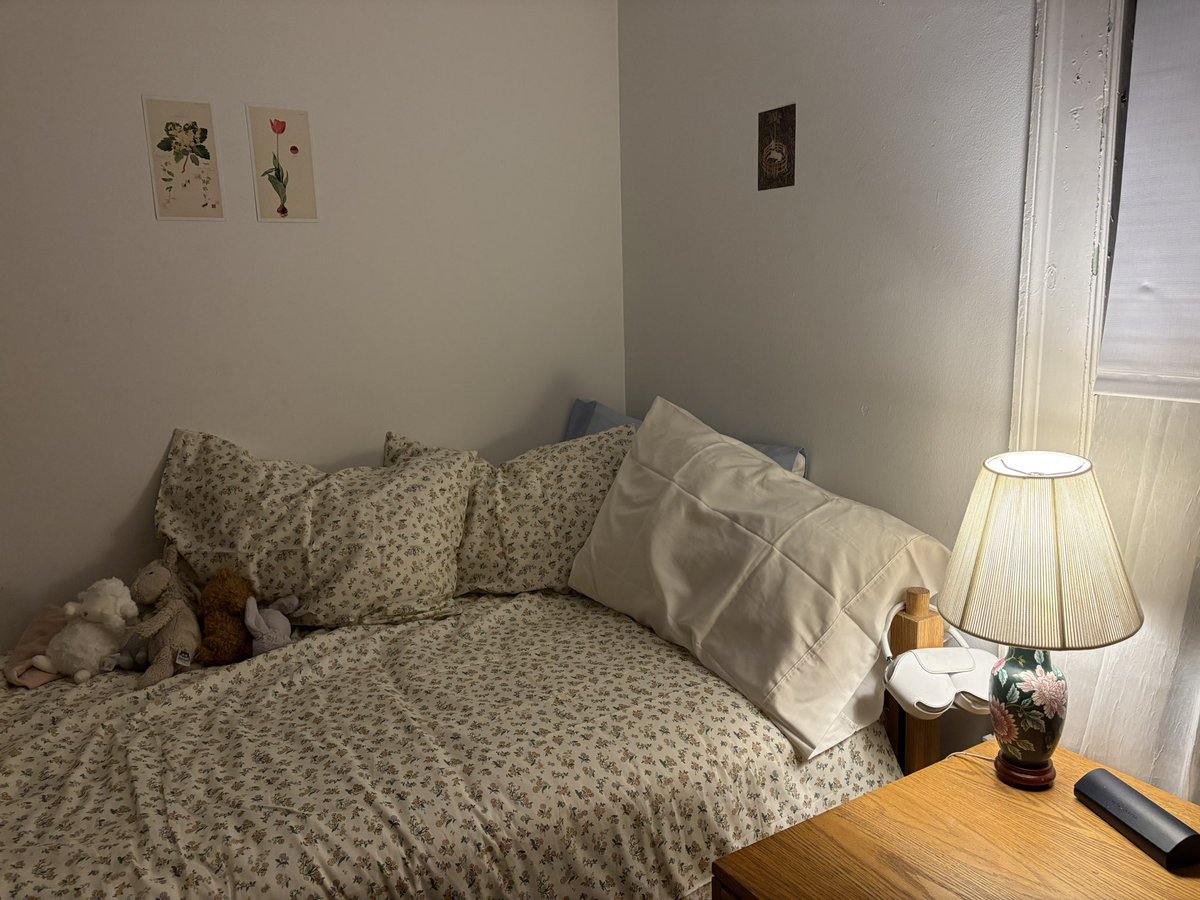 ruubybee's tweet photo. a room of my own https://t.co/TvdGDgbMBb