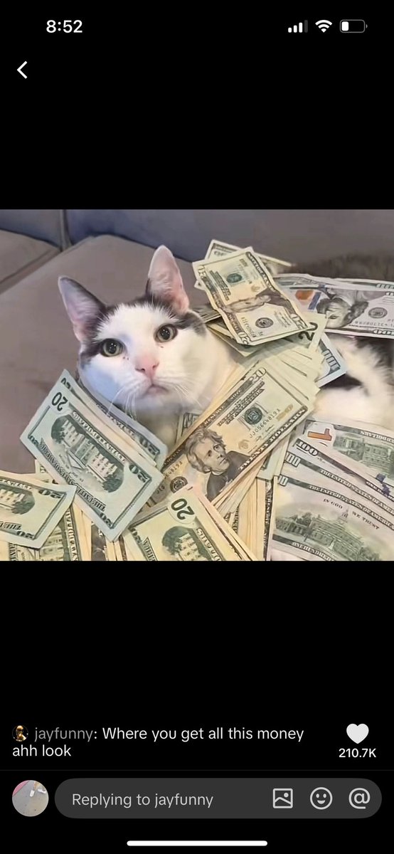 PerkulesXXX's tweet photo. @ObsidNyx When do I start? https://t.co/Ubf9yEolsS