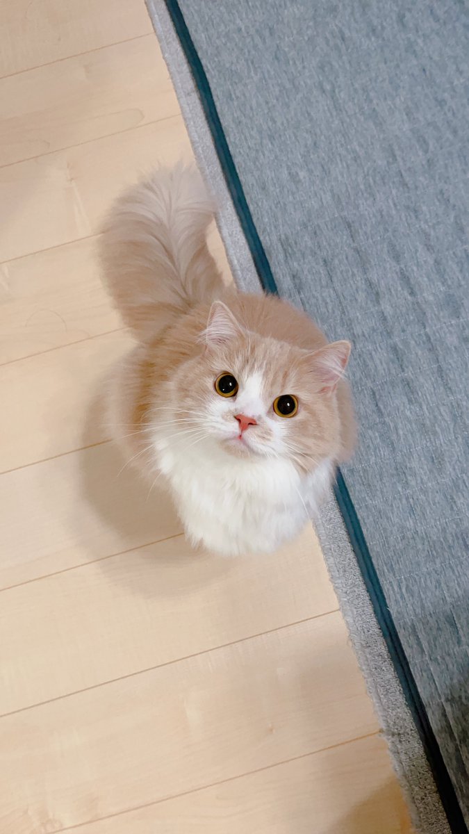 おめめキラッとモグちゃん