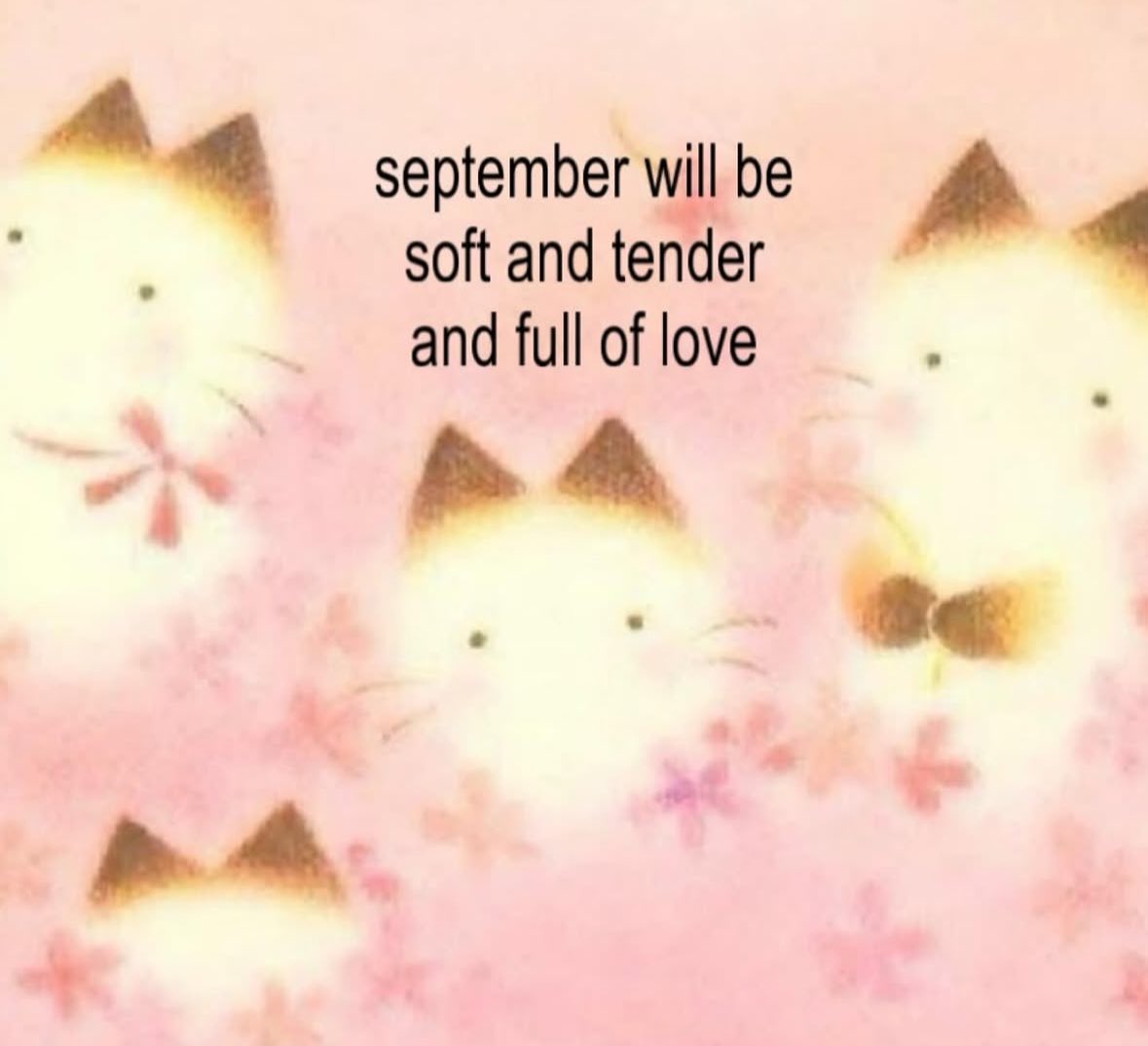 ✧ (@northstardoll) on Twitter photo 