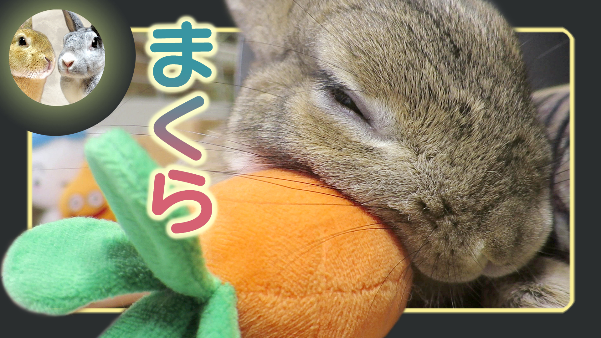 うさぎ イデア 7月中 Amazon.co.jp: 【UMU】 ツキウタ。 4月 卯月 新（うづき あらた