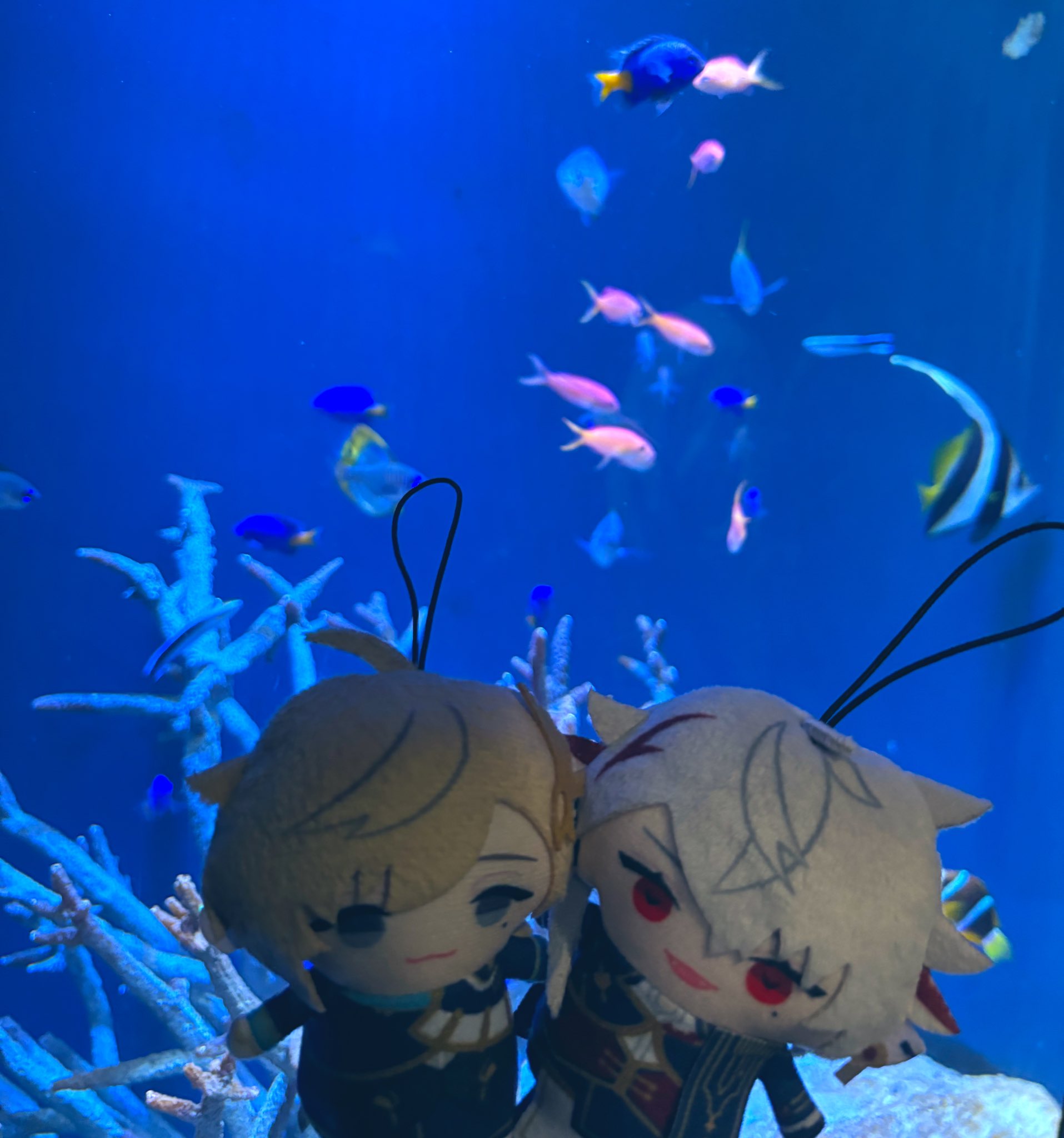 なーさん なーさん🍥‎ (@nqru_love) / X