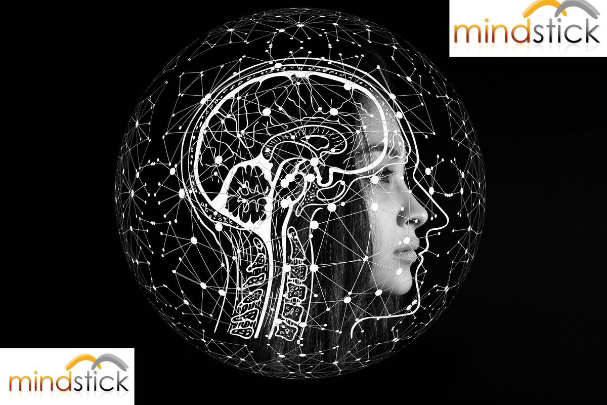 MindStick tweet media