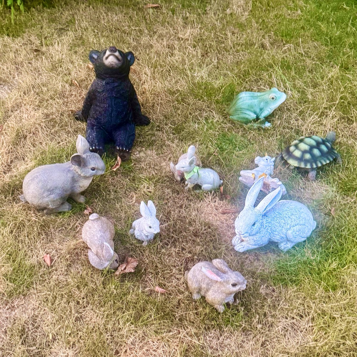 Dubs4Mutts's tweet photo. 😅 As seen on our #dog walk ♥️
#LaborDay #DCMetro #NoVA 🇺🇸 https://t.co/ODK6GbBBlU
