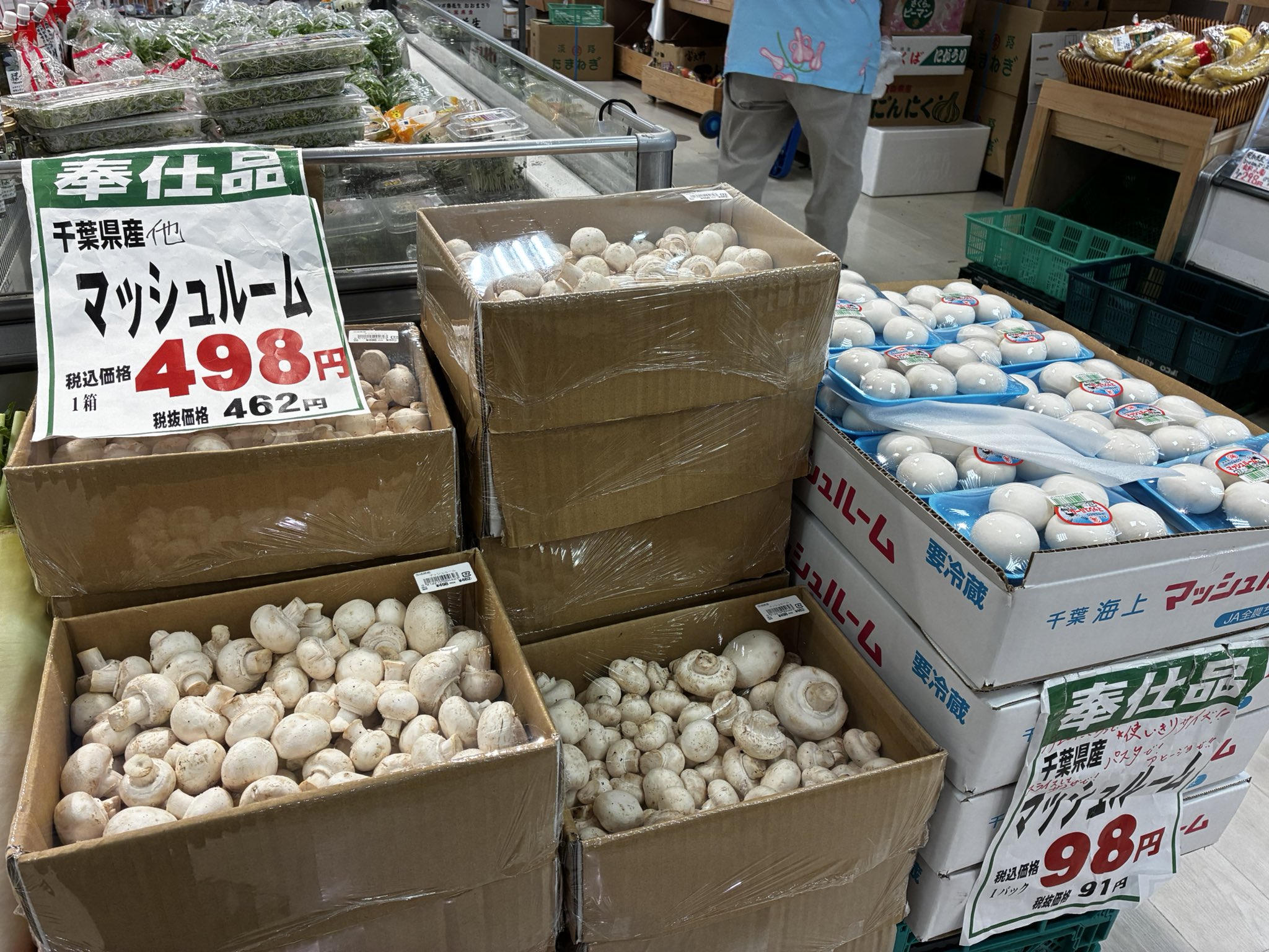 キャンディーズマッシュルーム 本体のみ箱あり 吉池 on X: 