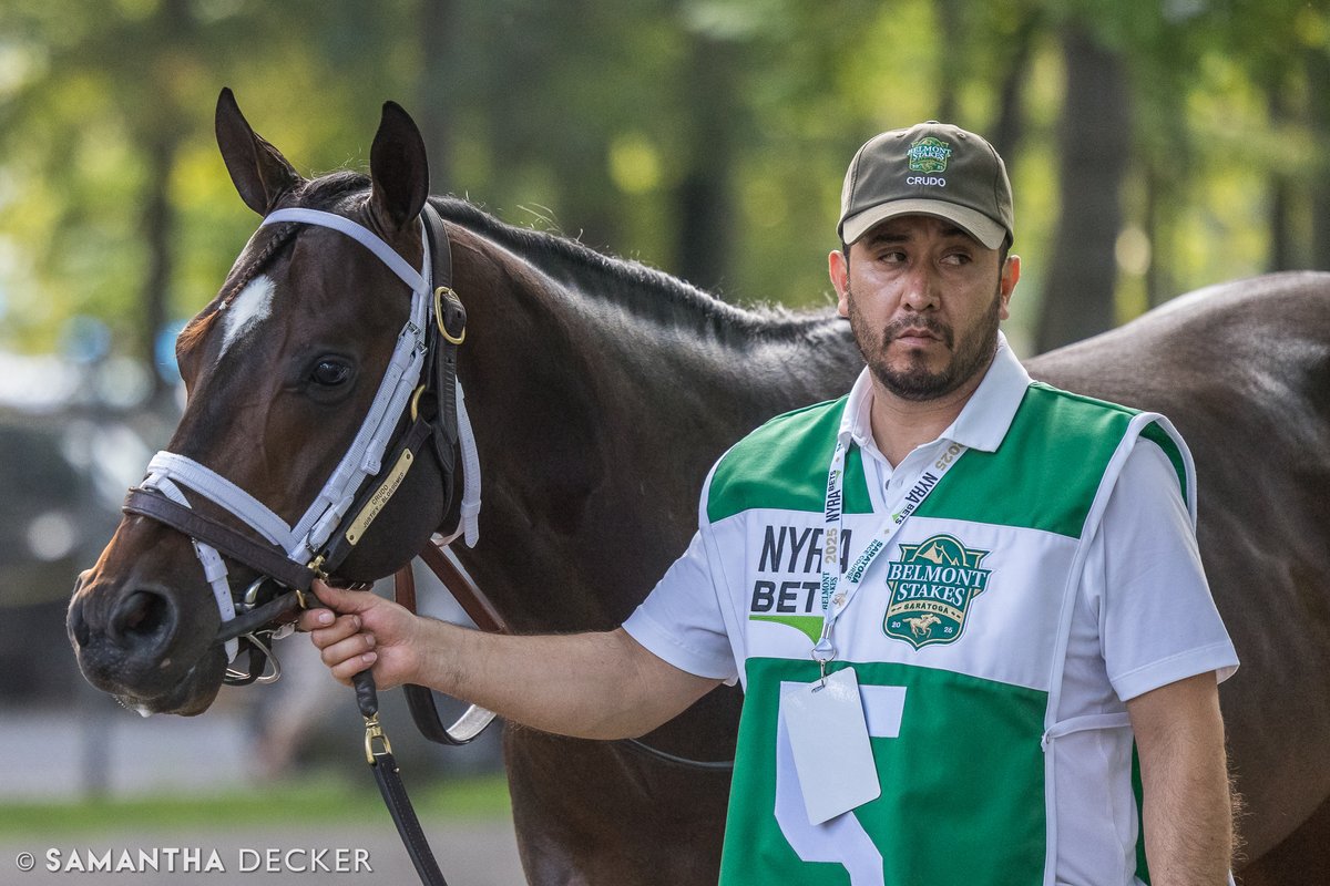 .<a href="/BelmontStakes/">Belmont Stakes</a> alum Crudo makes the switch from dirt to truf today in the Saranac Stakes at Saratoga.  The Todd Pletcher is coming off a fourth place finish in the Curlin Stakes earlier in the meet.

Shot for the <a href="/saratogaspecial/">The Saratoga Special</a>