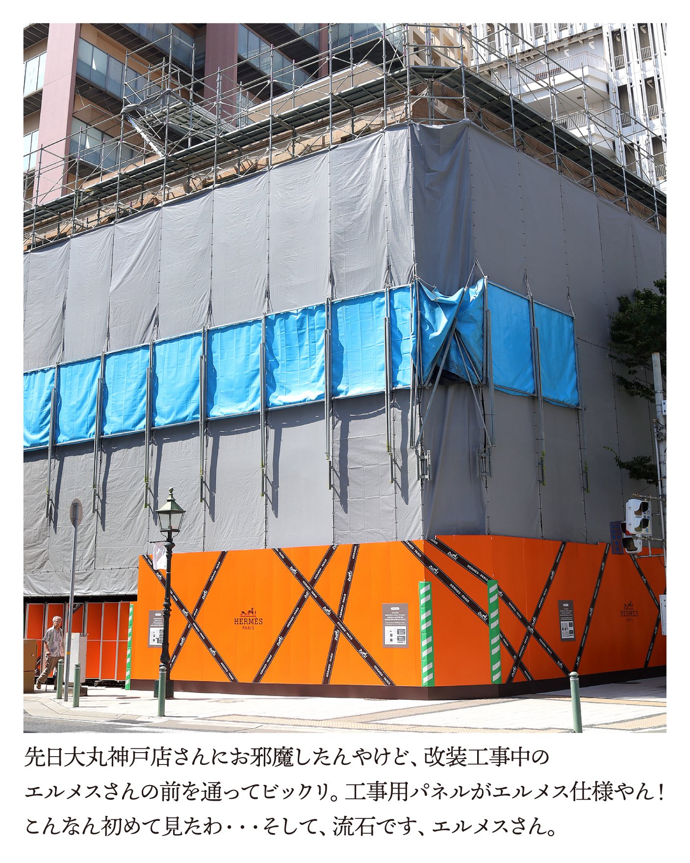 エルメス　廃盤人気柄「ピヴォワンヌ」グリーン　タルトプラター　レア保管品❣️ エルメス 廃盤人気柄「ピヴォワンヌ」グリーン タルトプラター