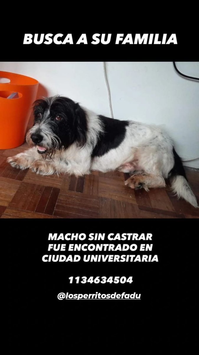 Difundimos