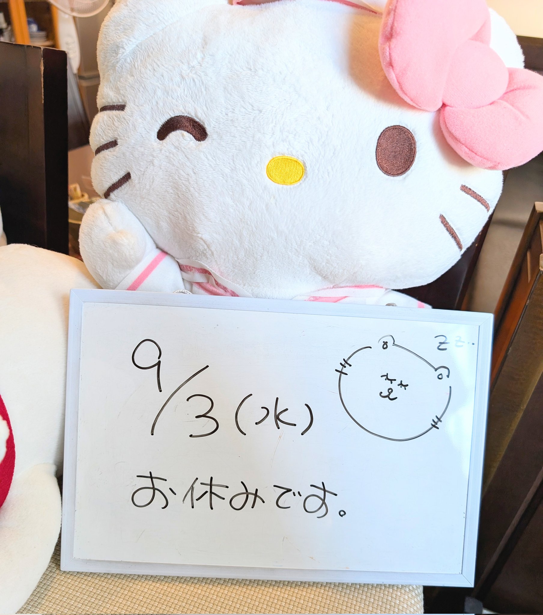 ネコネコさん専用ページ necoco ネココ 仔猫からのしつけにもぴったりな キャットルーム
