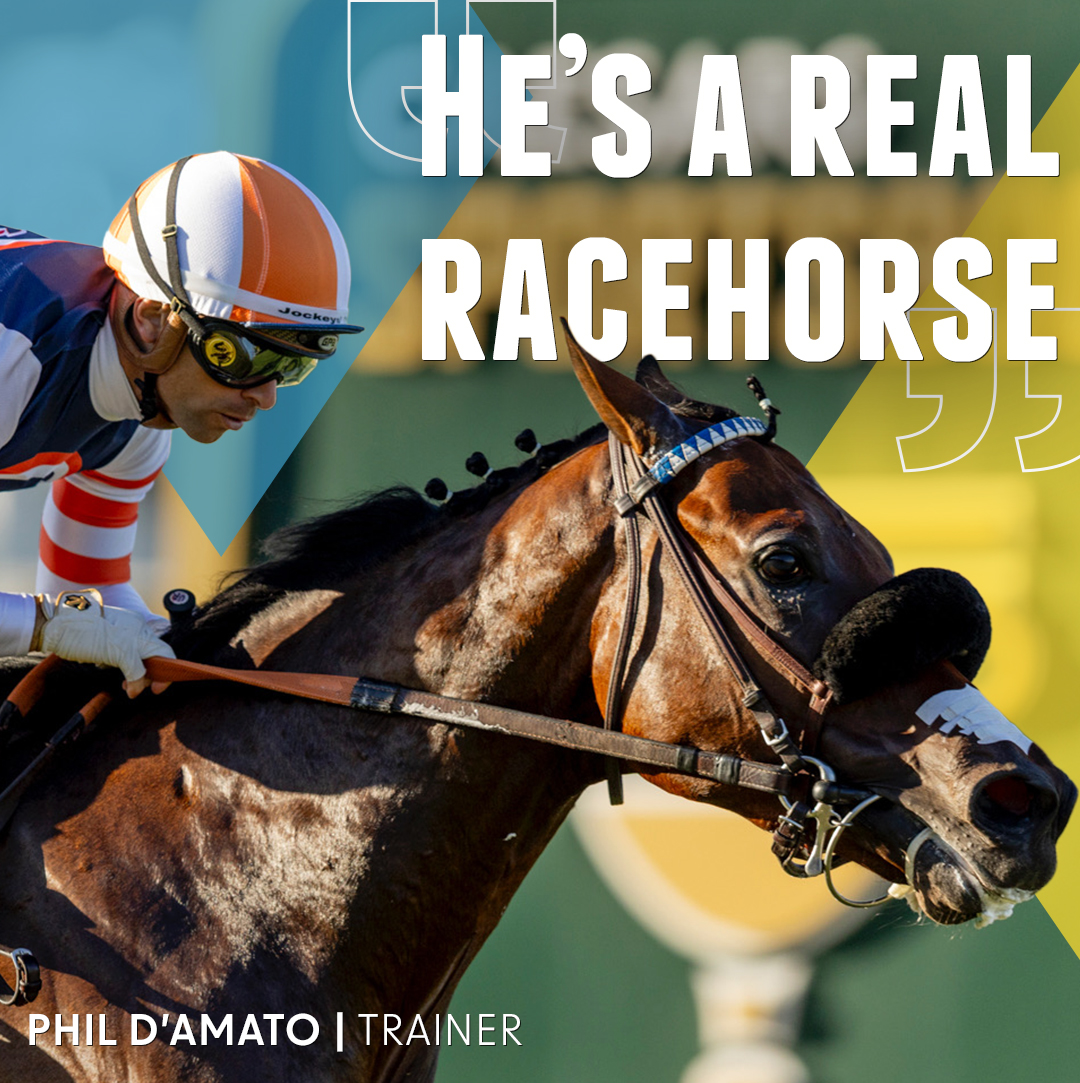 Del Mar Racetrack (@delmarracing) on Twitter photo When Umberto asked, The Padre answered. 🗣️
Slow fractions couldn't keep this colt from rolling to victory in the Grade II <a href="/CaesarsSports/">Caesars Sportsbook</a> Del Mar Derby. When Umberto asked, The Padre answered. 🗣️
Slow fractions couldn't keep this colt from rolling to victory in the Grade II <a href="/CaesarsSports/">Caesars Sportsbook</a> Del Mar Derby.