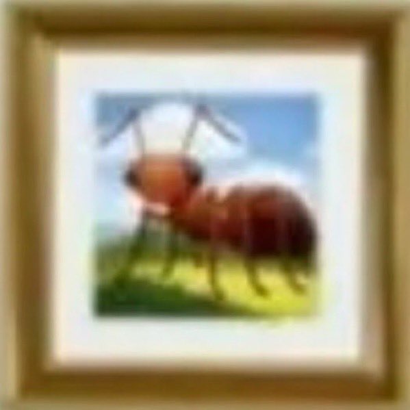 Watch DONNIE DARKO 🧛🏽's leaked NSFW photo on TwXstars