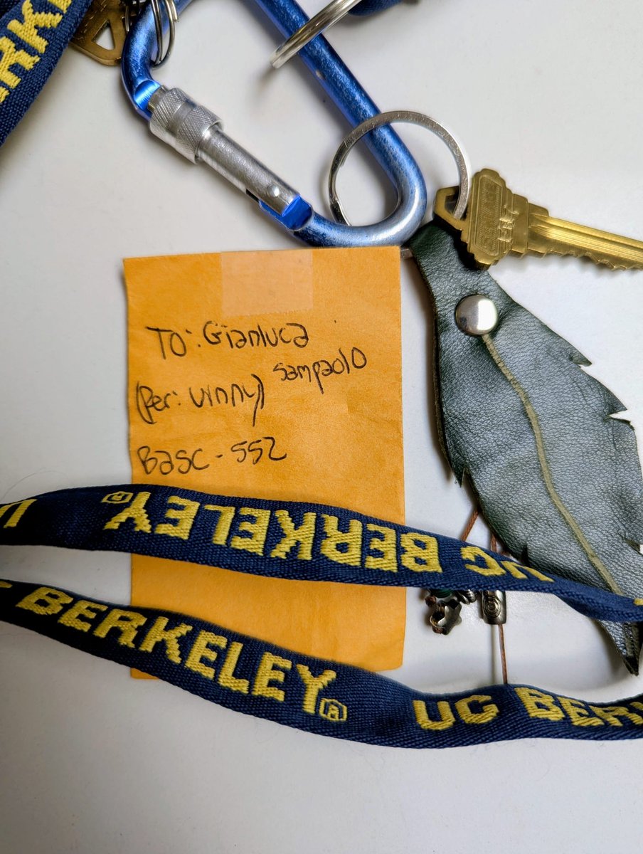 Gianluca Sampaolo tweet media