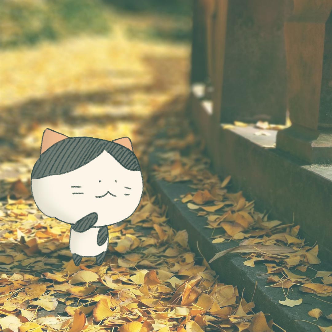 🍂秋と喘息
9月下旬頃から10月にかけては喘息の発作が起こりやすい時期です。気温の変化が大きいことや、夏に繁殖したダニの死骸や排泄物が増えてアレルギー反応を起こしやすくなることも原因となっています。
喘息もちの方は、朝の冷え込みが強まる日や気温変化の大きい日は発作に注意してください。