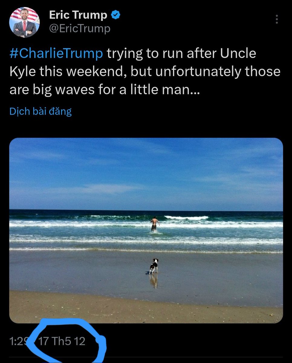 Charlie Army tweet media