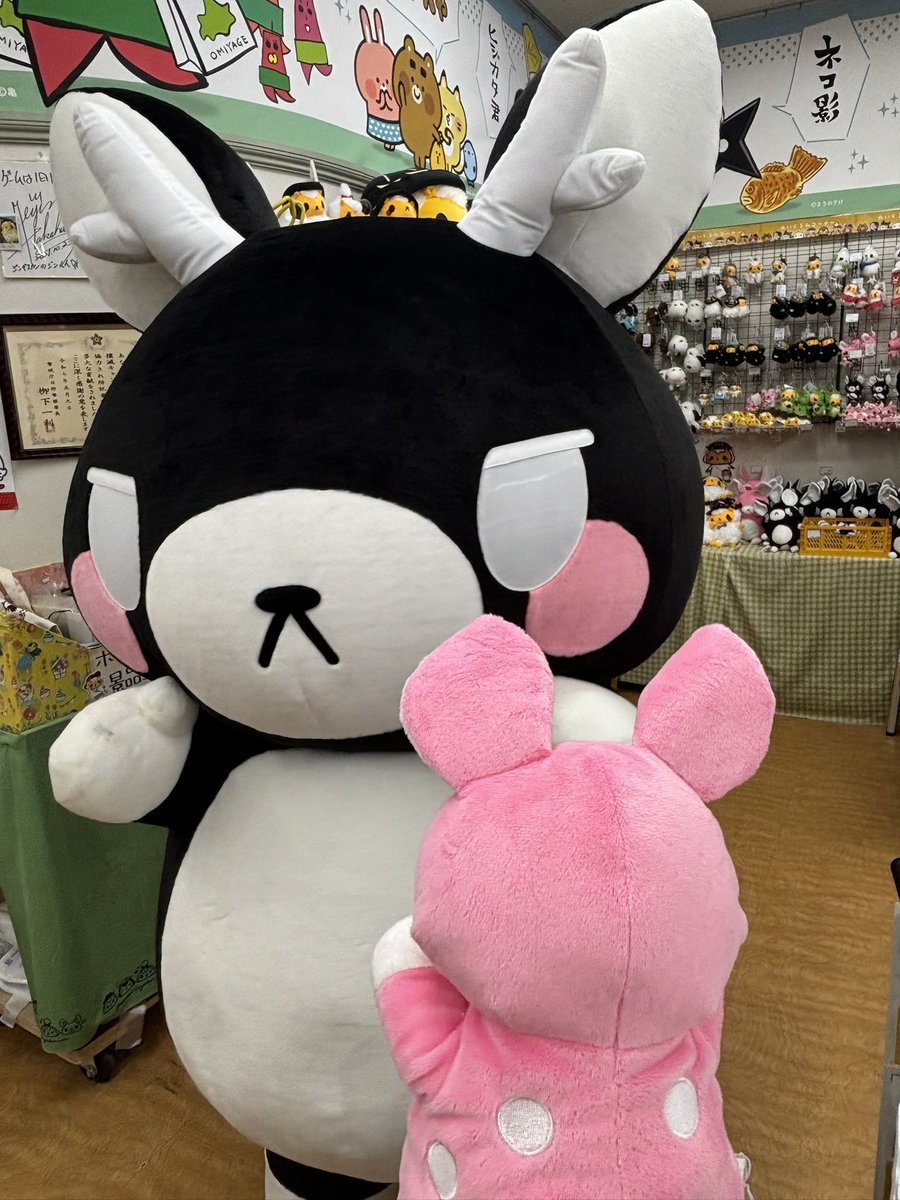 またぎのろくちゃんが購買部でのお店番に登場です🖤💚

優しく見守ってあげてくださいね♪
これからよろしくお願いいたします！

#またぎのろくちゃん
#またぎのもみじちゃん