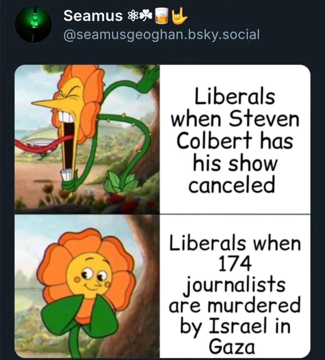 Paula Jean Swearengin tweet media