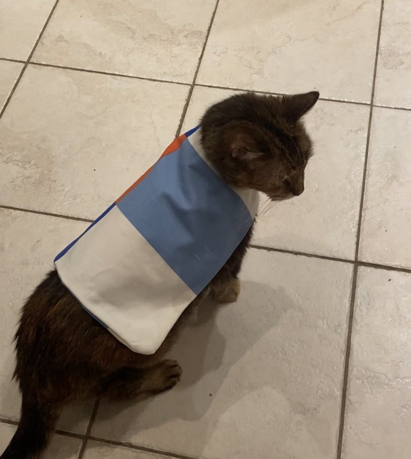 Me: I’m going to learn to sew and make practical things!

Also me: I’m going to sew jackets for my cat 😹