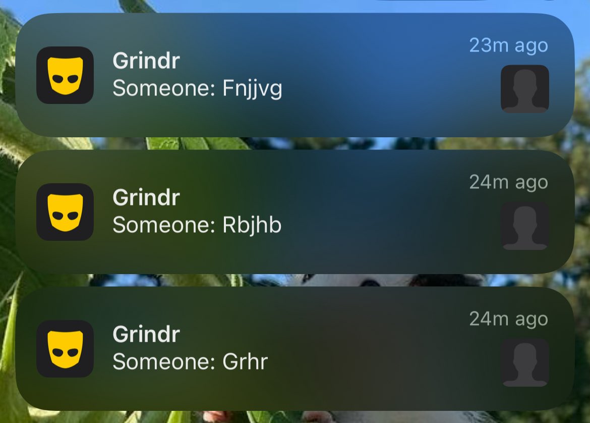 Not me attracting illiterate trade