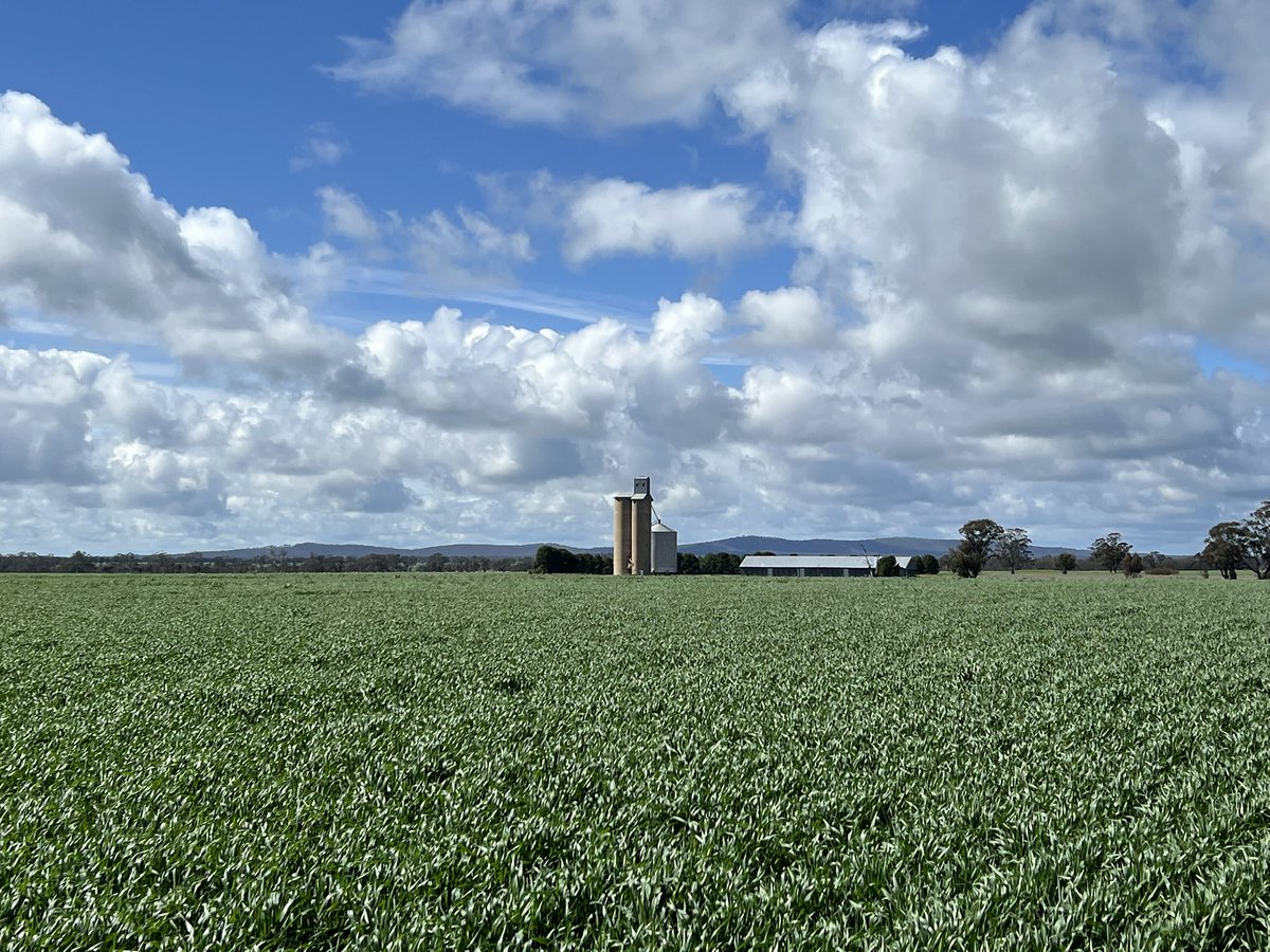 John Bennett tweet media