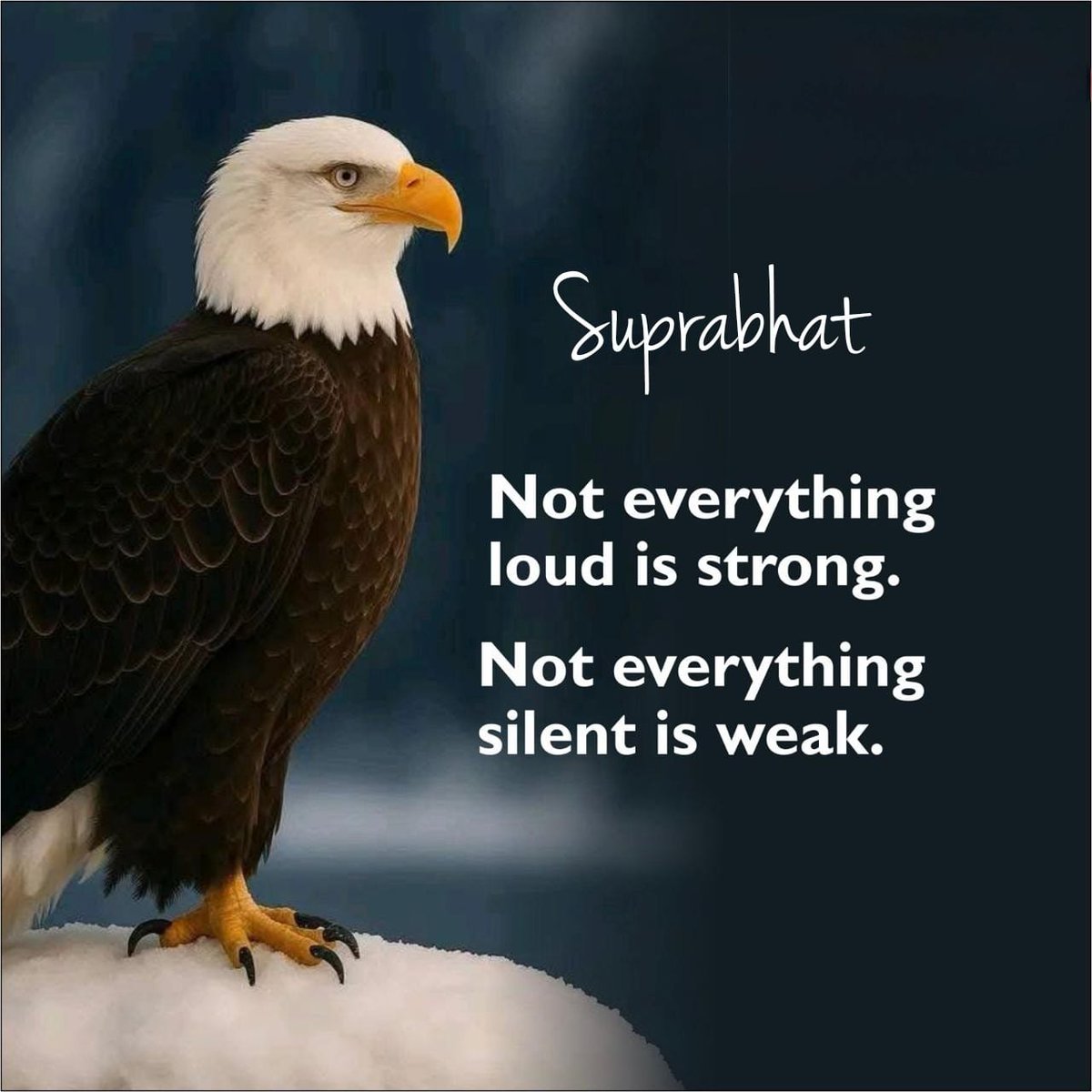 #GoodMorningX 
#MondayVibes 
#शुभ_प्रभात_वंदन