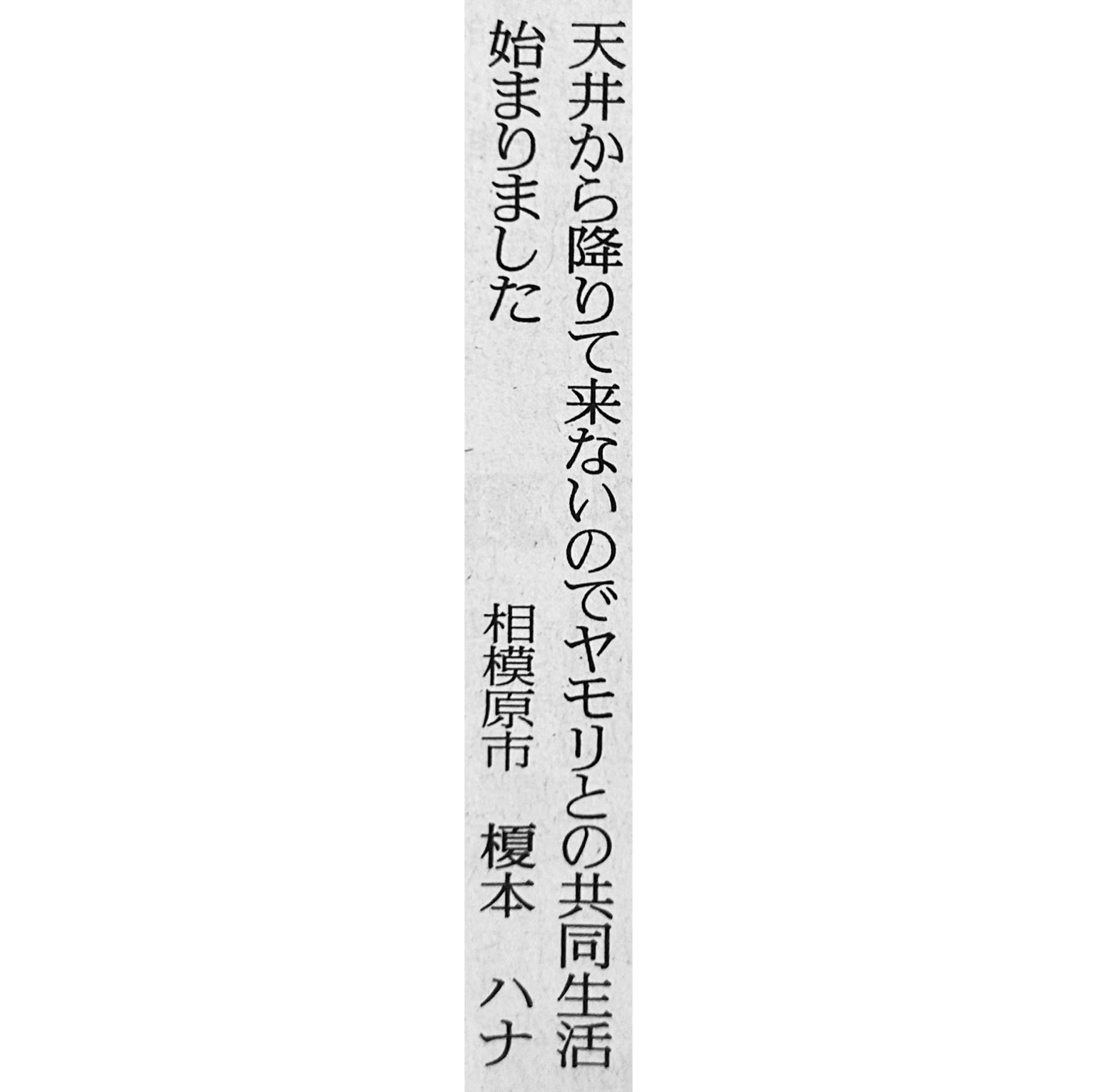 文学・小説 hana 91+8NV0wvzL._UF350,350_QL50_.jpg