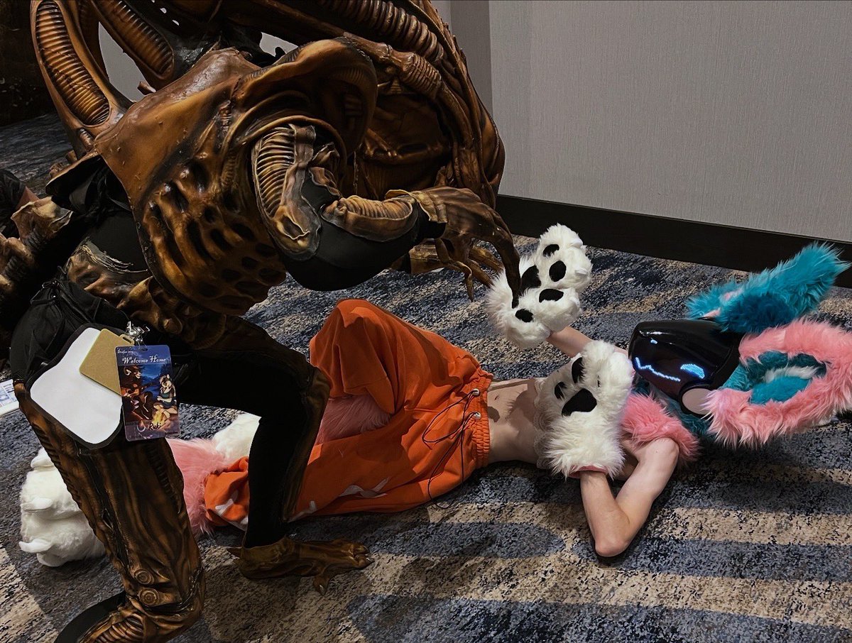 MutantWasp tweet media