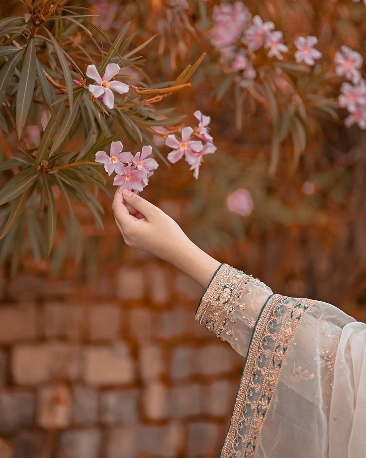 Good morning x friends