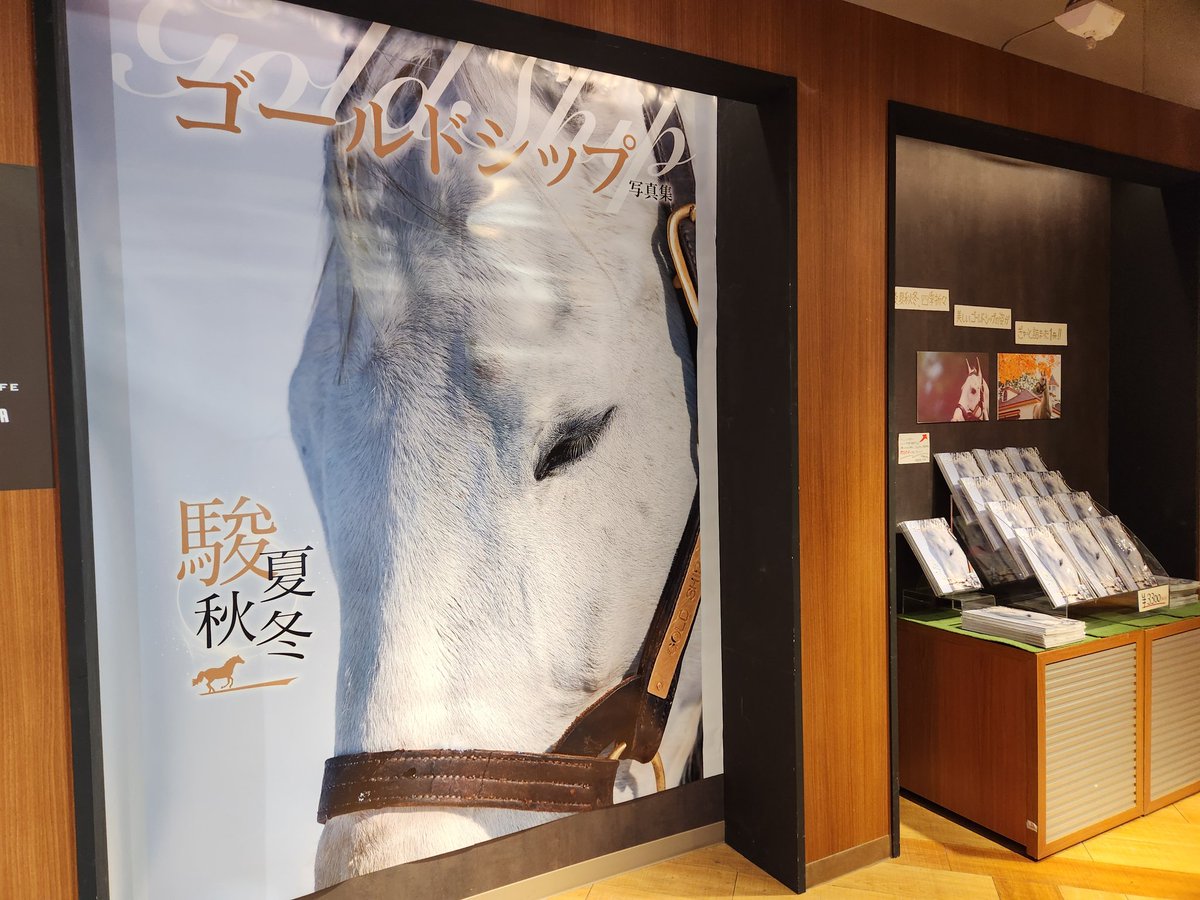 ゴールドシップ　写真集&DVD 初回限定ポストカード付き　+ 付箋 エリック on X: 