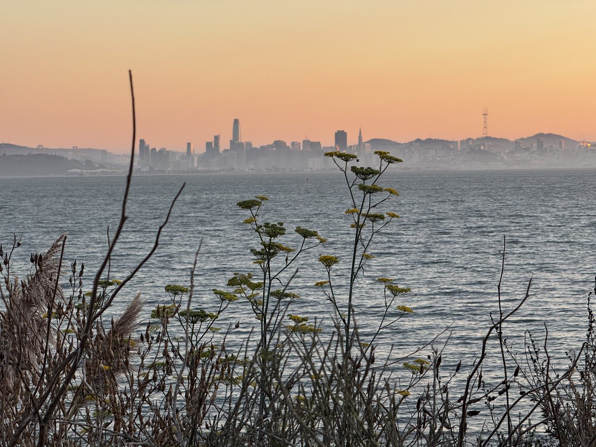 marisa (@lilacdecay) on Twitter photo 