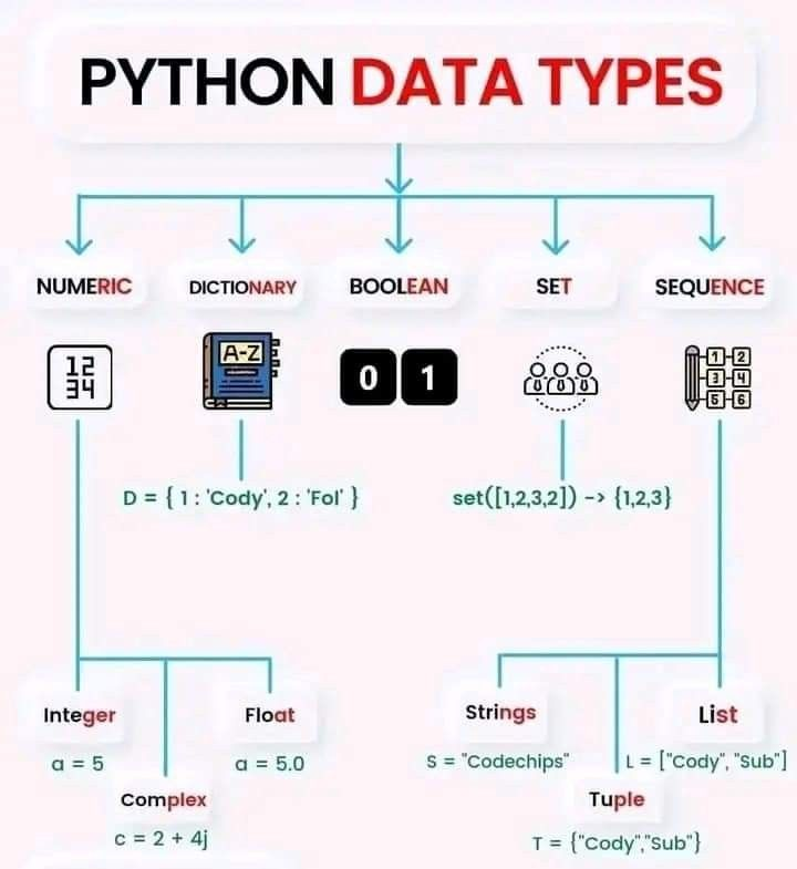 Python Programming tweet media