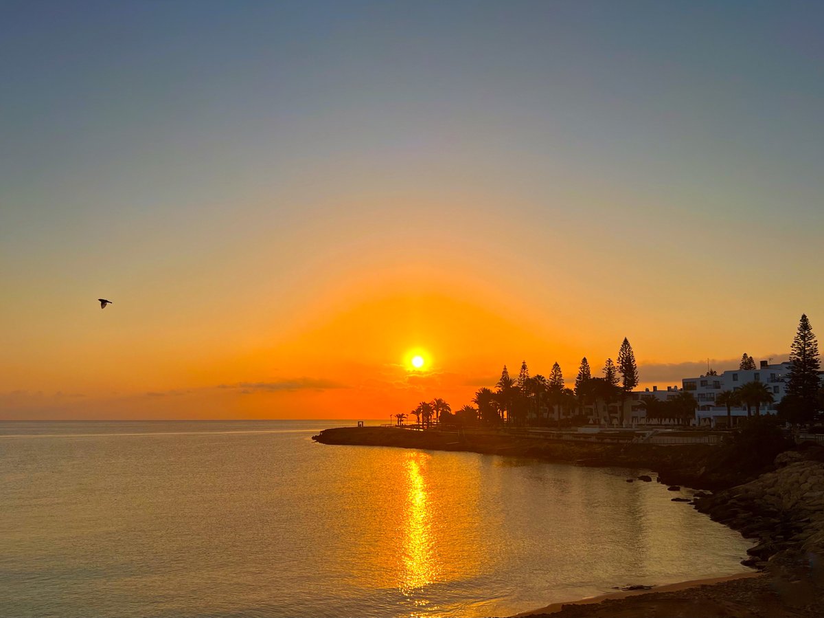 Flying high into September with lively spirits and a positive outlook, illuminated by the sunrise's golden light.

Good morning!🌊

Protaras