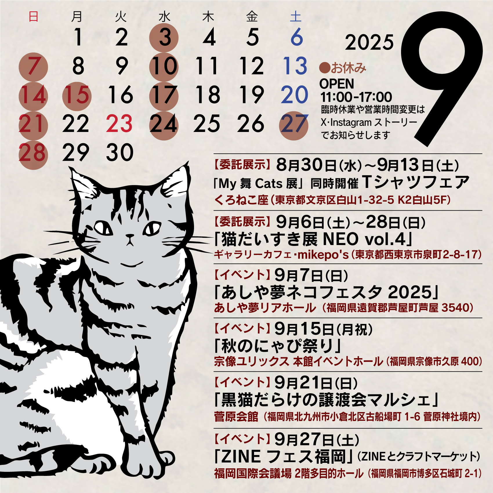 くろねこ Amazon | ホビーマックス ドールズフロントライン HK416 黒猫の