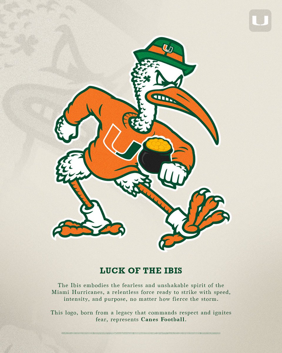 CALL IT LUCK OF THE IBIS 😉🙌